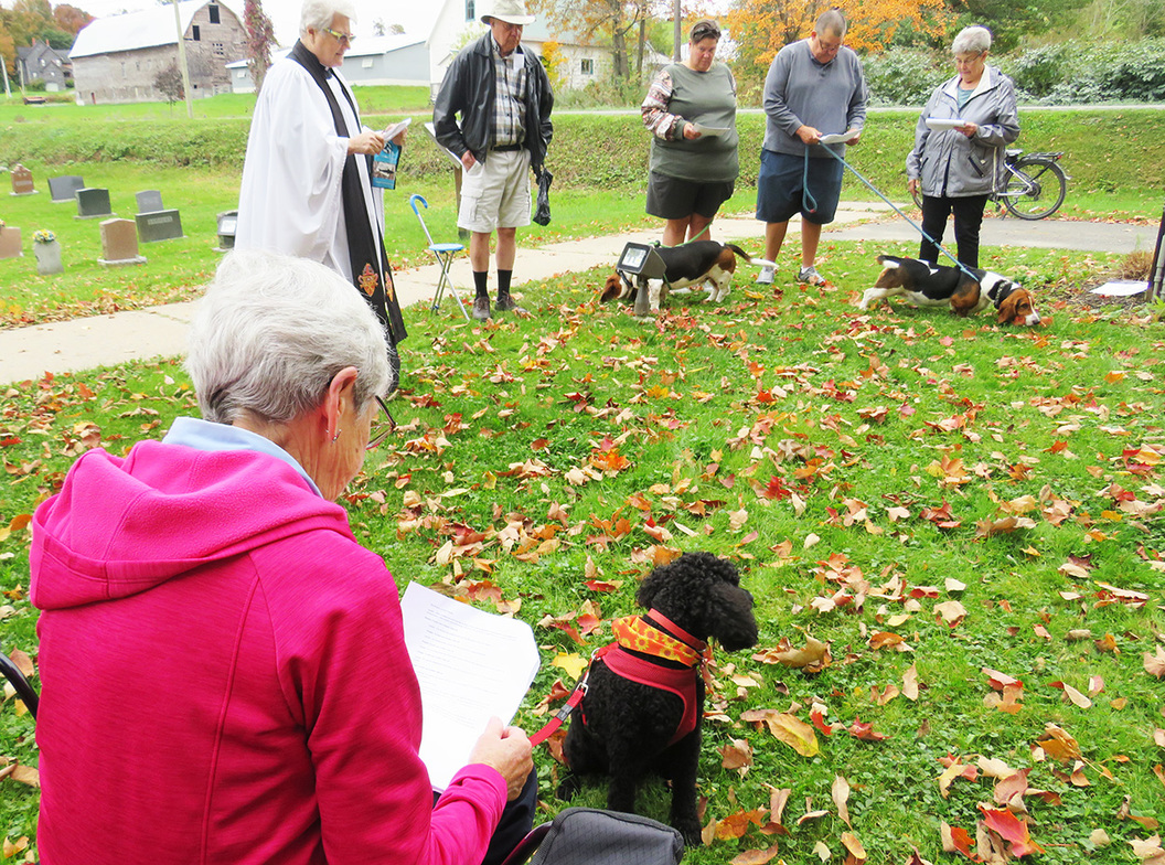 Blessings abound at St. Peters St. Peter Anglican Diocese of